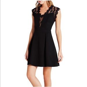 BCBG black cocktail dress